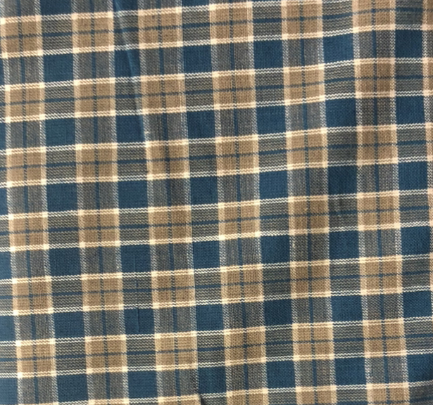 15557/03 – Blue Check Fabric