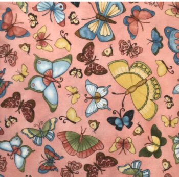 26883/343 Nature Walk By Teresa Kogut For Ebor