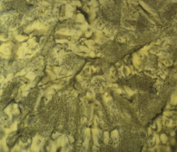 Batiks from Ebor - 4718/44
