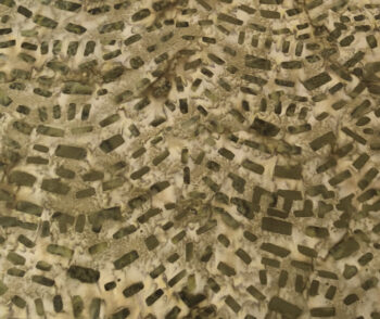 SSHH135-18#25B - batiks from Sew Simple