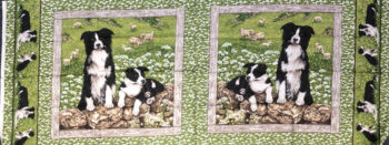 850 Boarder Collie Cushion Panel By Makower UK